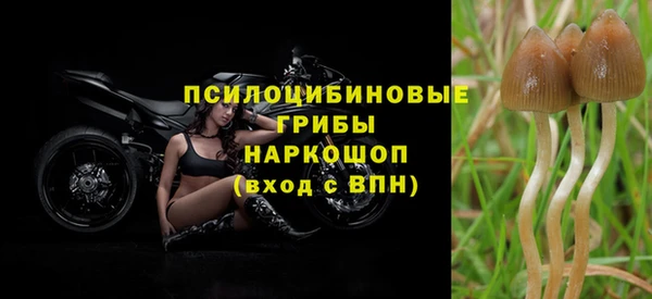 PSILOCYBIN Ладушкин